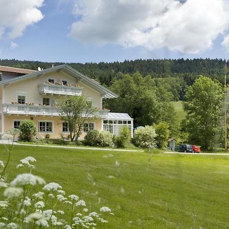 Landgasthof Zum Hirschenstein, Pension Garni سانكت انجلمار المظهر الخارجي الصورة